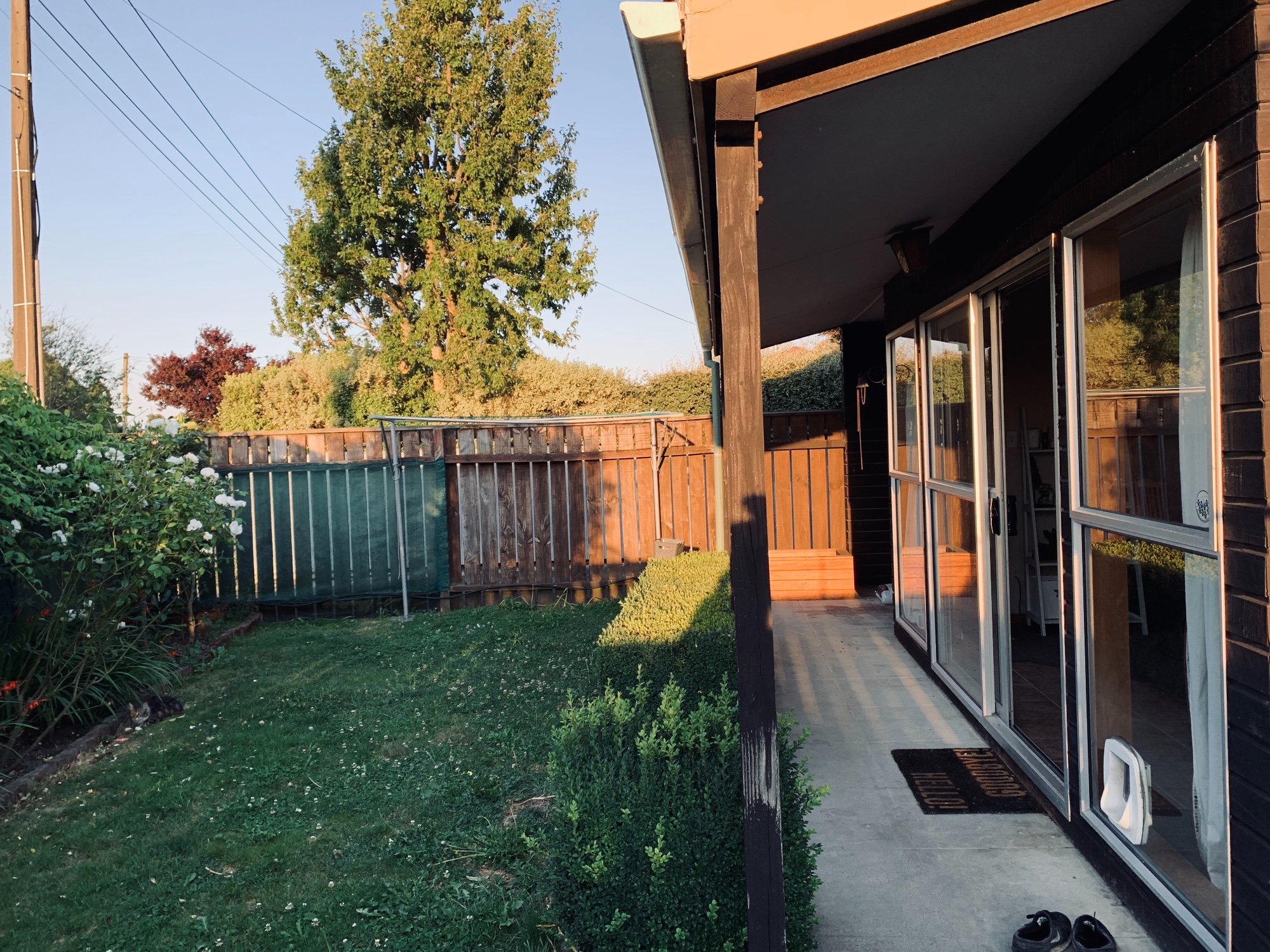 Flat in NZ nzflatmates